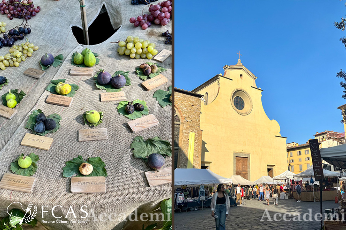 イタリア料理留学　イタリア家庭料理コース