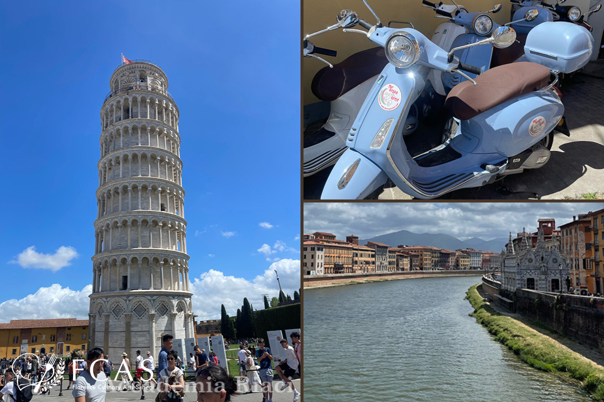 イタリア料理留学　サマーコース　カルチャービジッ