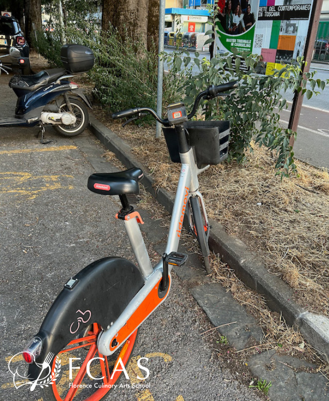 イタリア料理留学　ジェラート留学　ジェラートコース